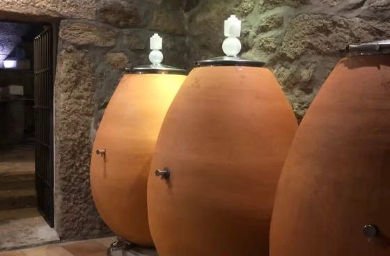 El pueblo de las 1.000 bodegas