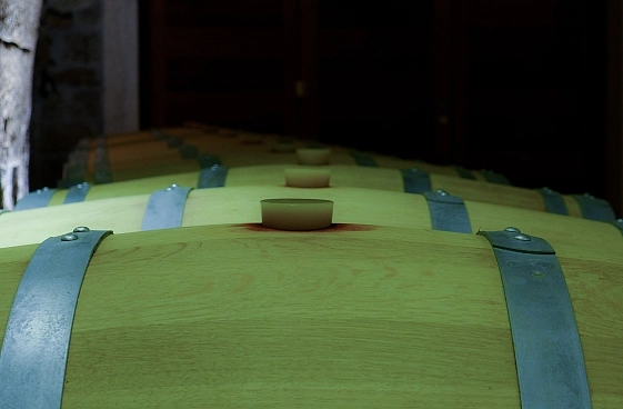 Bodega propia. Te vienes?