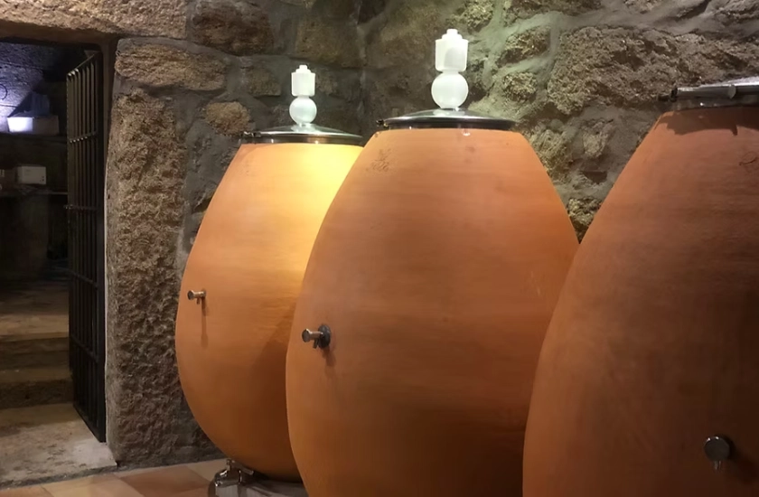 Pack 4 noches en casa rural + bodega centeneria + 2 cruceros por los Arribes