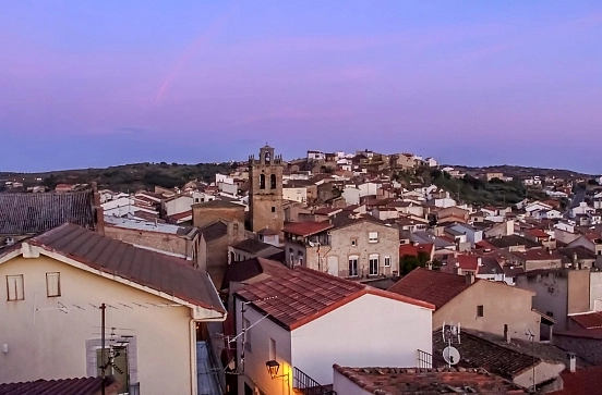 Oleoturismo: el mundo del aceite