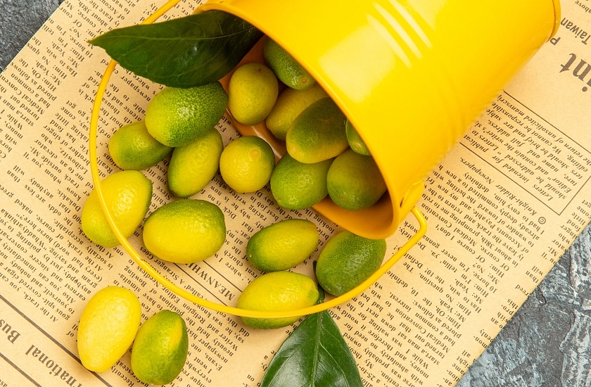 La experiencia más completa para descubrir los Arribes.