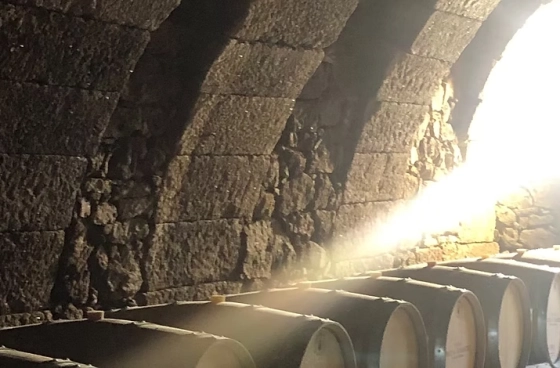 El pueblo de las 1.000 bodegas